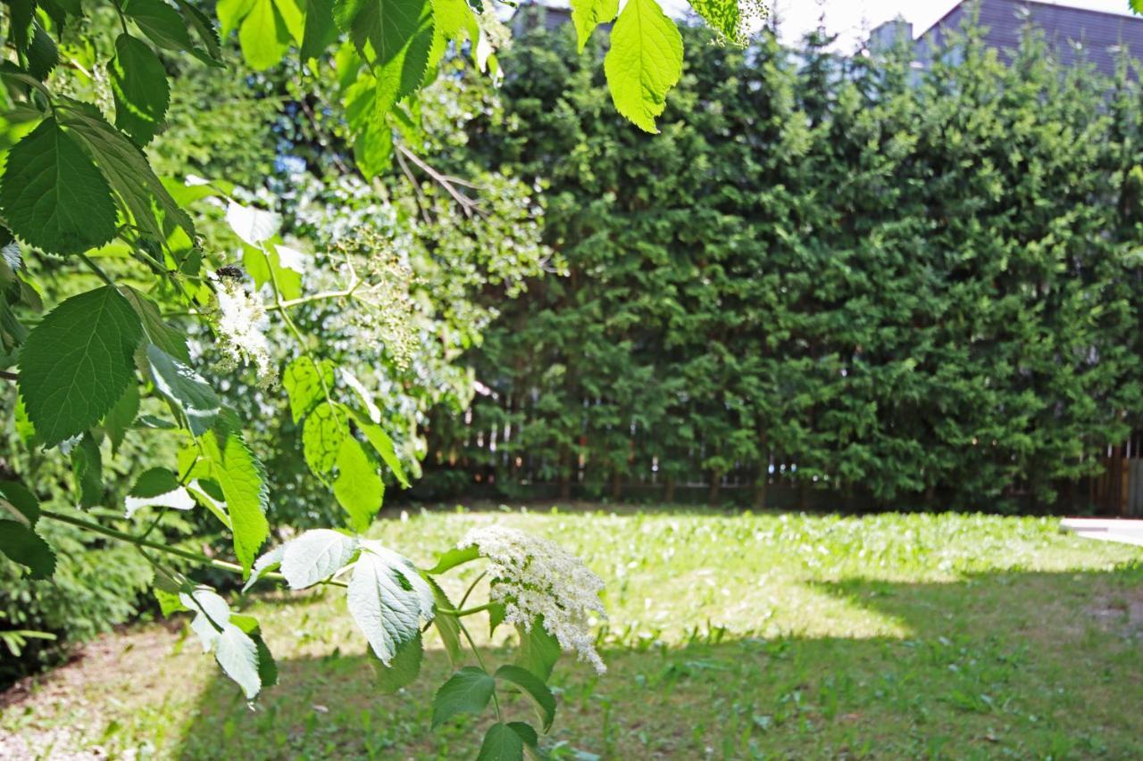 Aurturist S Candido Roulette San Candido Luaran gambar